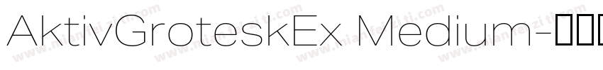 AktivGroteskEx Medium字体转换